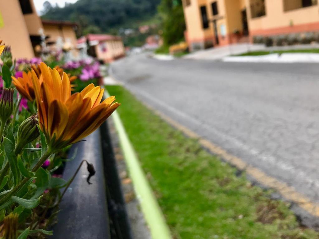 Spa Holistico Real Hotel ミネラル・デル・モンテ エクステリア 写真